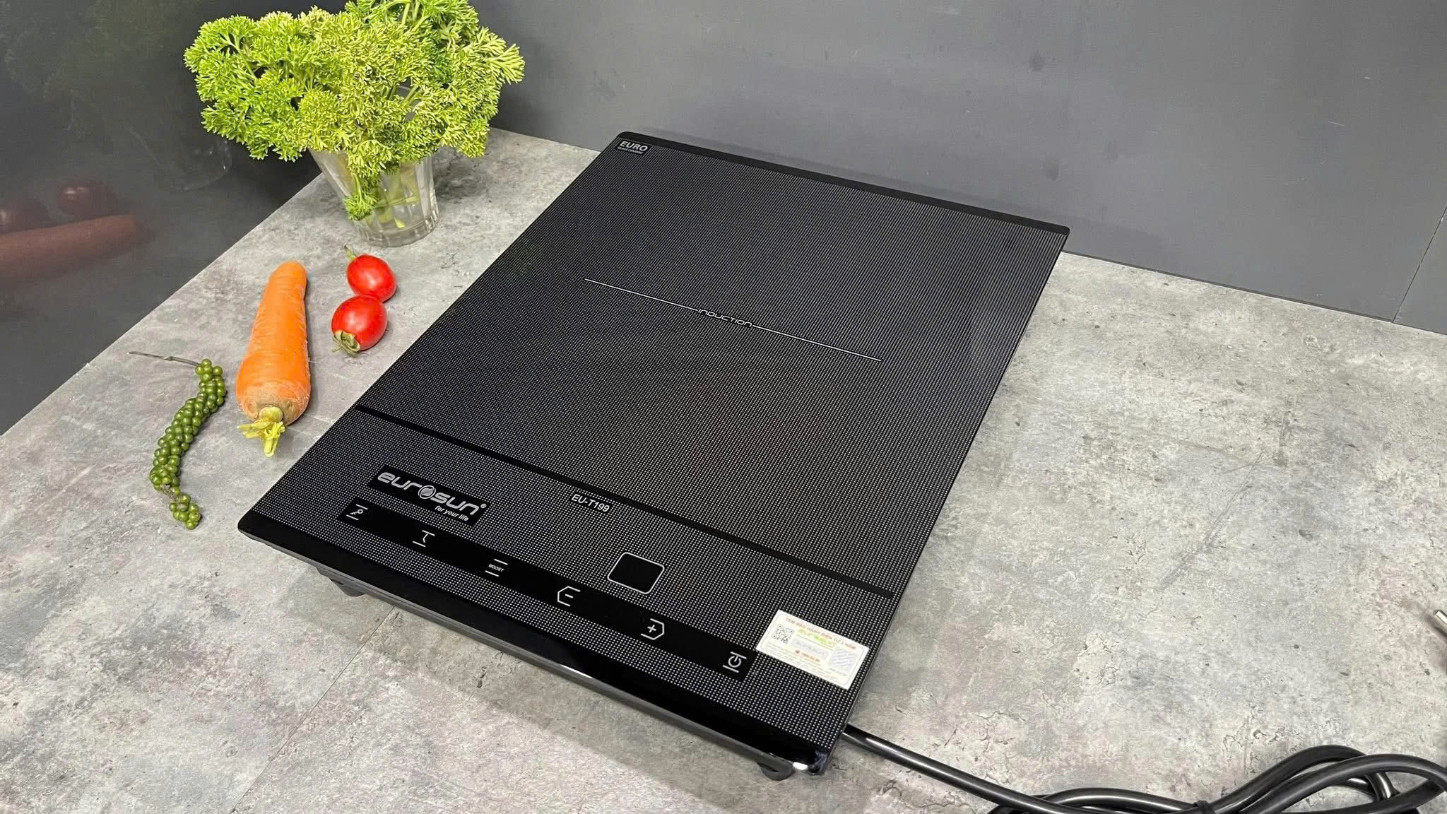 Bếp từ đơn âm Eurosun EU-T199MAX