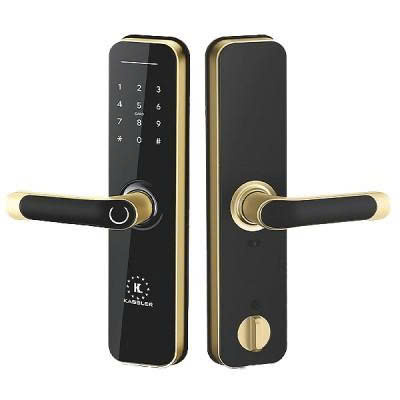 Khóa Điện Tử KASSLER KL-668 GOLD APP