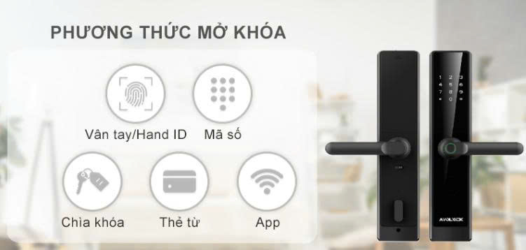 Khóa Điện Tử  AVOLOCK AV-64 Rose Gold