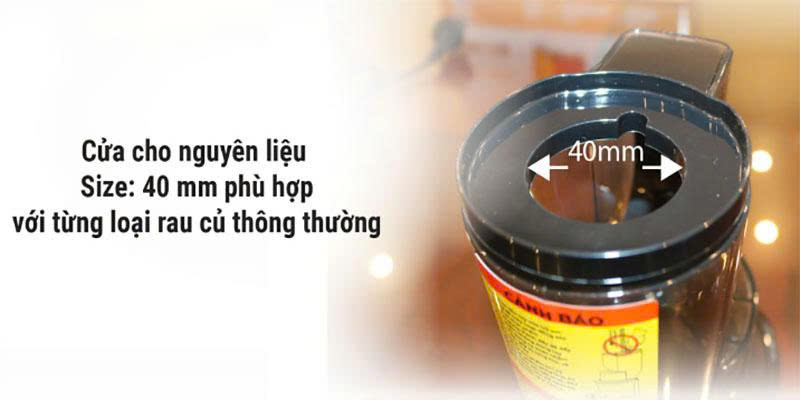 Máy ép chậm Canzy CZ 15YA