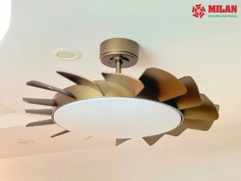 Quạt Trần FENGYE-MILAN FY566 Màu Đen Cà Phê