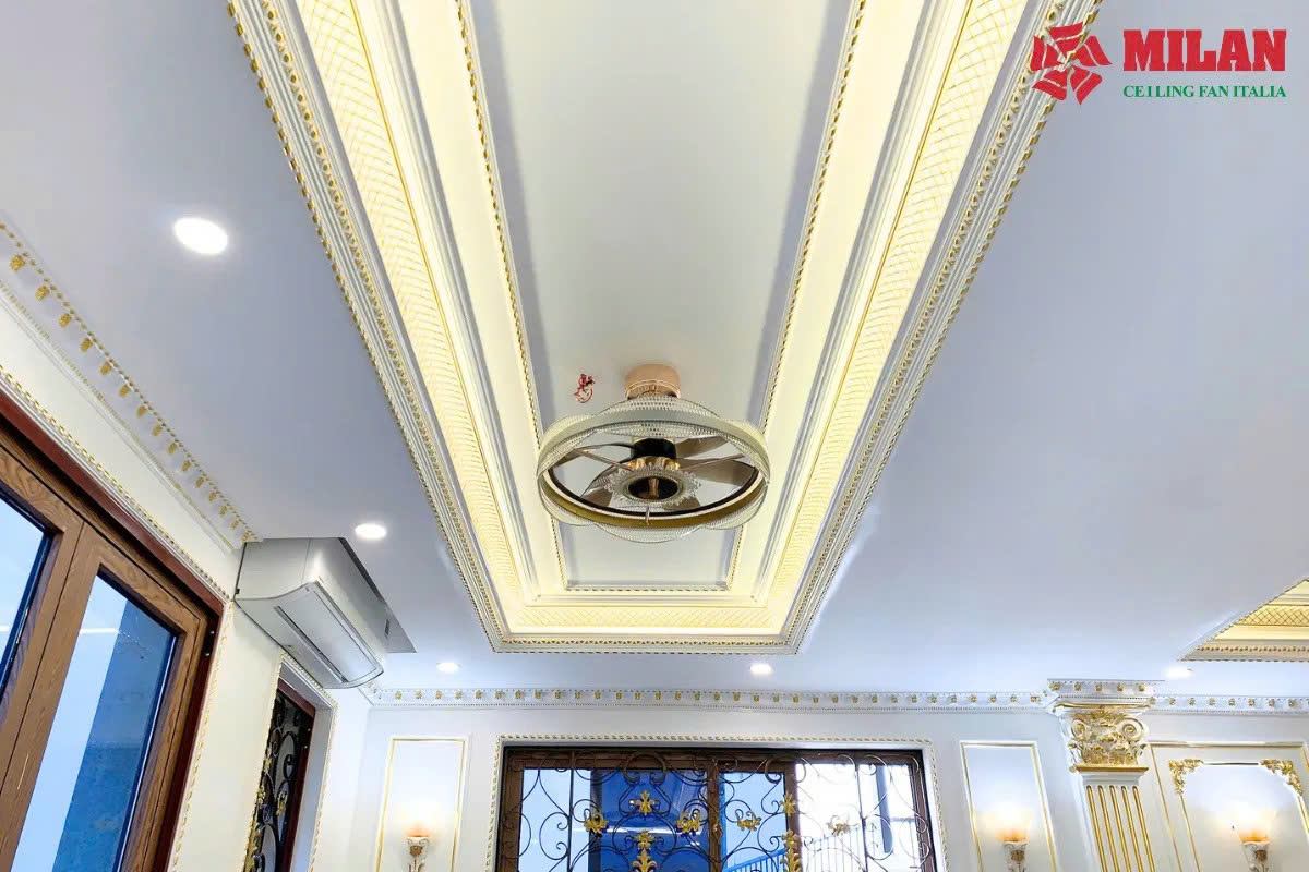 Quạt Trần FENGYE-MILAN FY561