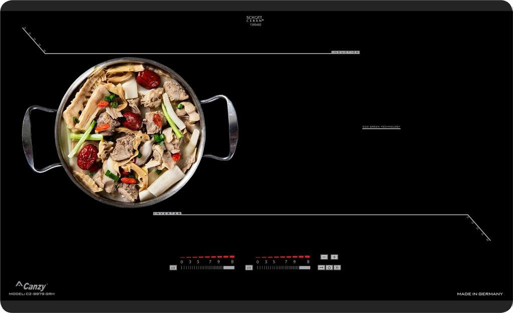 Bếp Từ Canzy CZ-9979 GRH