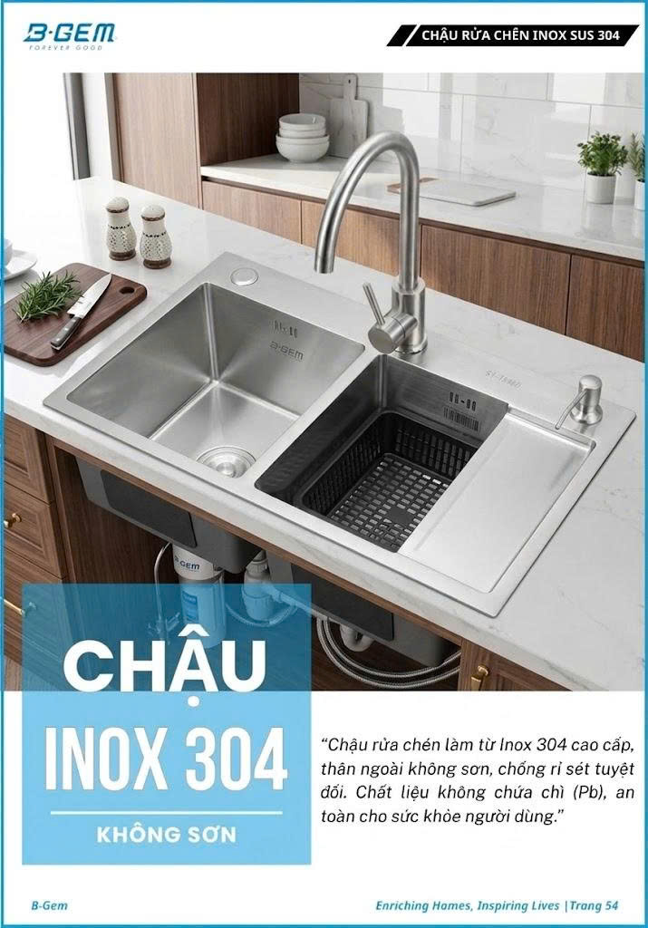 Chậu Rửa B-GEM BG-10048KS_ 2H