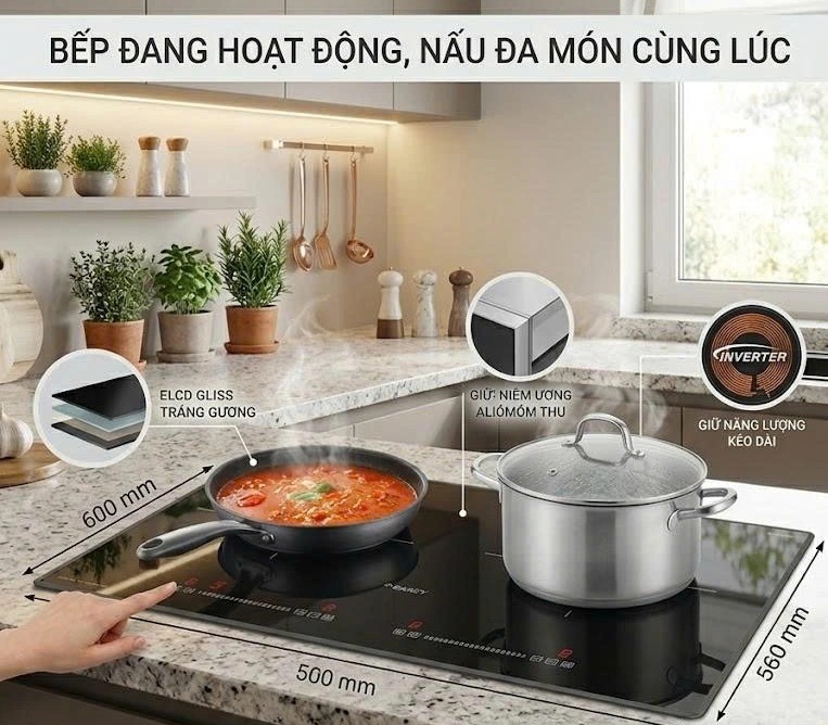 Bếp Từ Canzy CZ-SG001