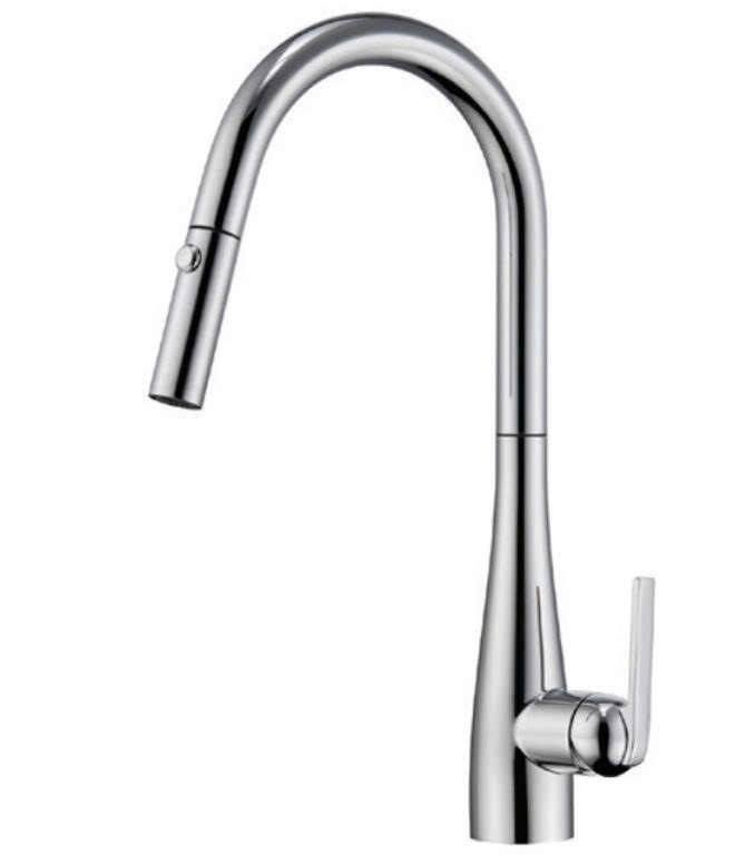 Vòi rửa bát EUROGOLD EUF219BR | EVF219BR
