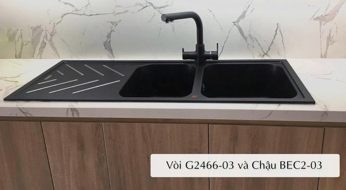 Vòi Rửa Bát Carysil G-2466-03