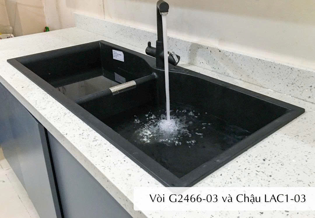 Vòi Rửa Bát Carysil G-2466-03
