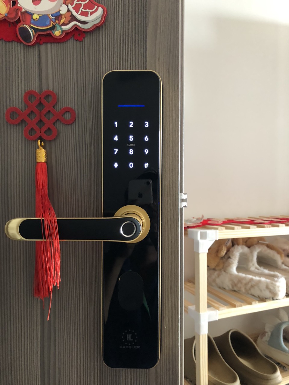 Khóa Điện Tử KASSLER KL-696 GOLD APP
