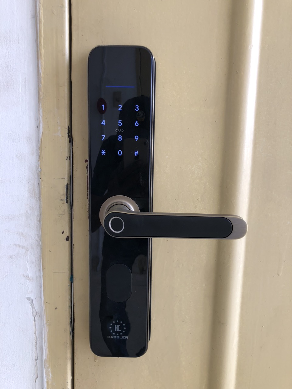 Khóa Điện Tử KASSLER KL-696 GREEN BRONZE APP