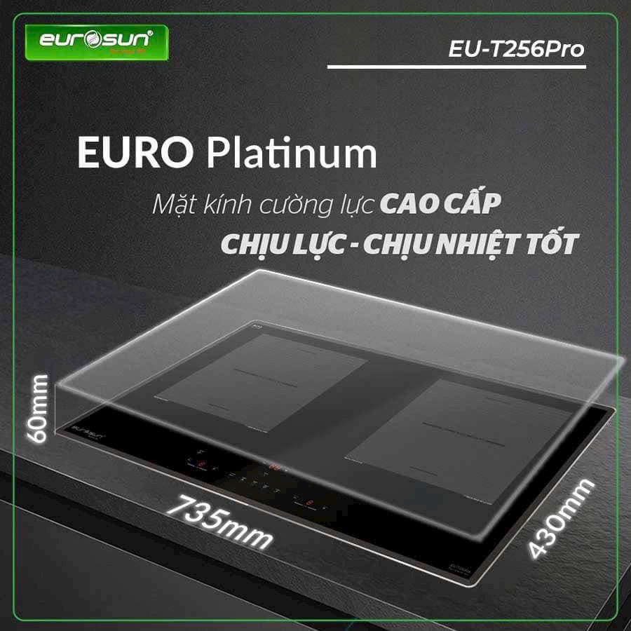 Bếp Từ Eurosun EU-T256 PRO