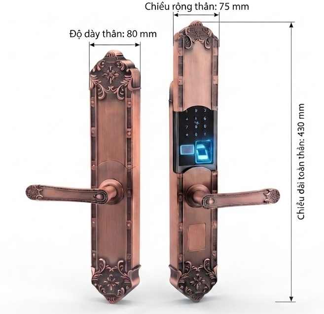 Khóa Điện Tử AVOLOCK AC-9701-G
