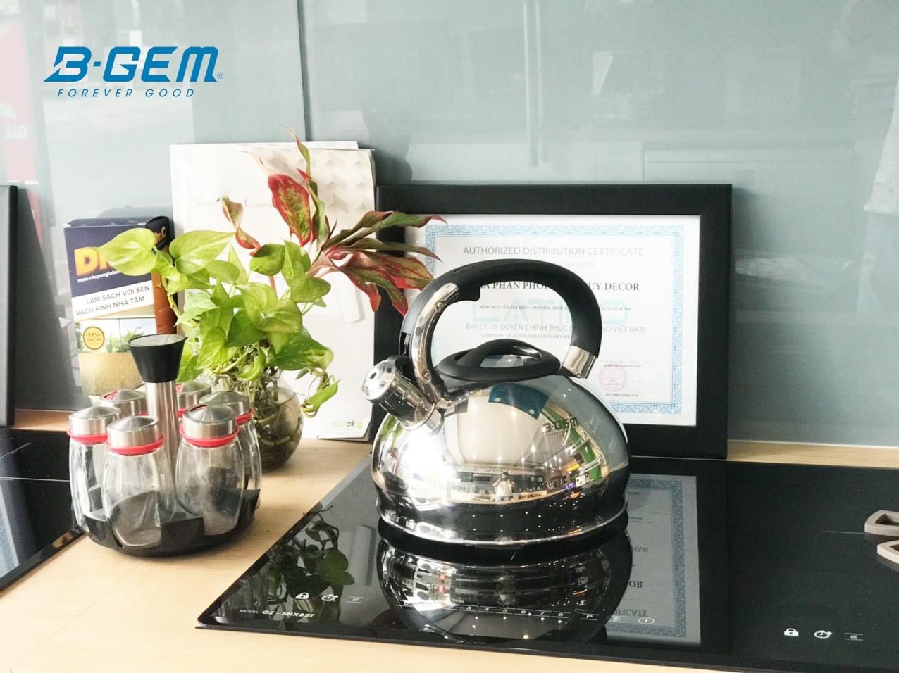 Ấm từ huýt sáo 3L B-Gem BG-666A 2 z2948409874314 28c19ffa70c0987cf641f4d98d8c3f60 Ấm từ huýt sáo 3L B-Gem BG-666A