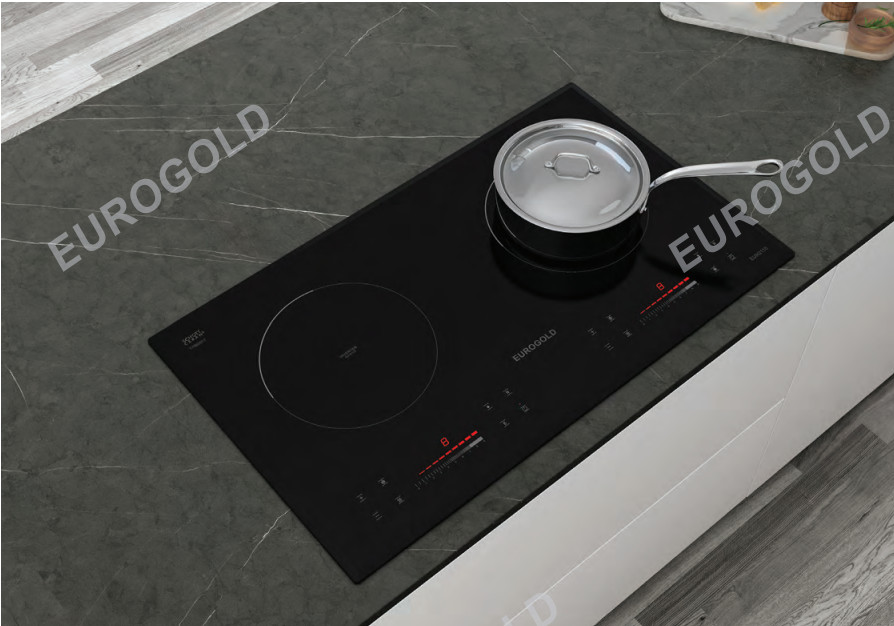 Bếp Từ Eurogold EUH2110