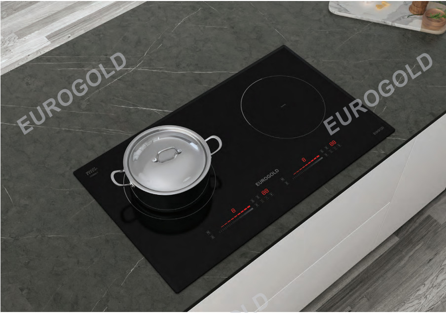 Bếp Từ Eurogold EUH2120