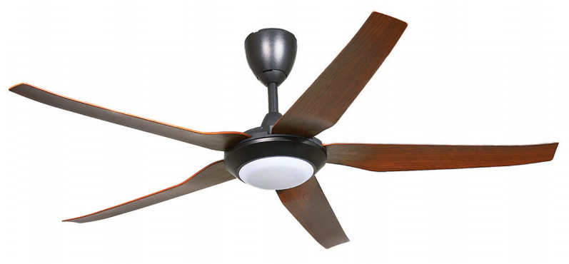 QUẠT TRẦN TRANG TRÍ MR.VŨ HALO LED
