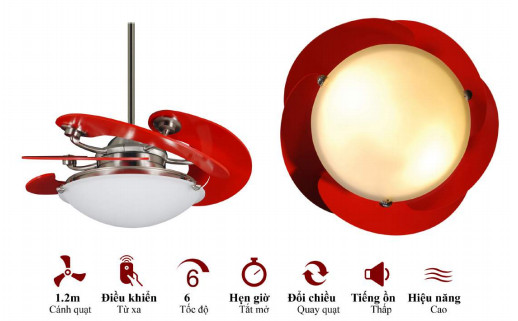 QUẠT TRẦN CHO NGƯỜI GIÀU MR.VŨ SOLE RED