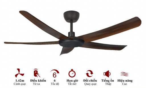QUẠT TRẦN CHO NGƯỜI GIÀU MR.VŨ HERO OAK