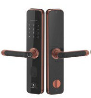 Khóa điện tử Kassler KL-696 RED BRONZE APP