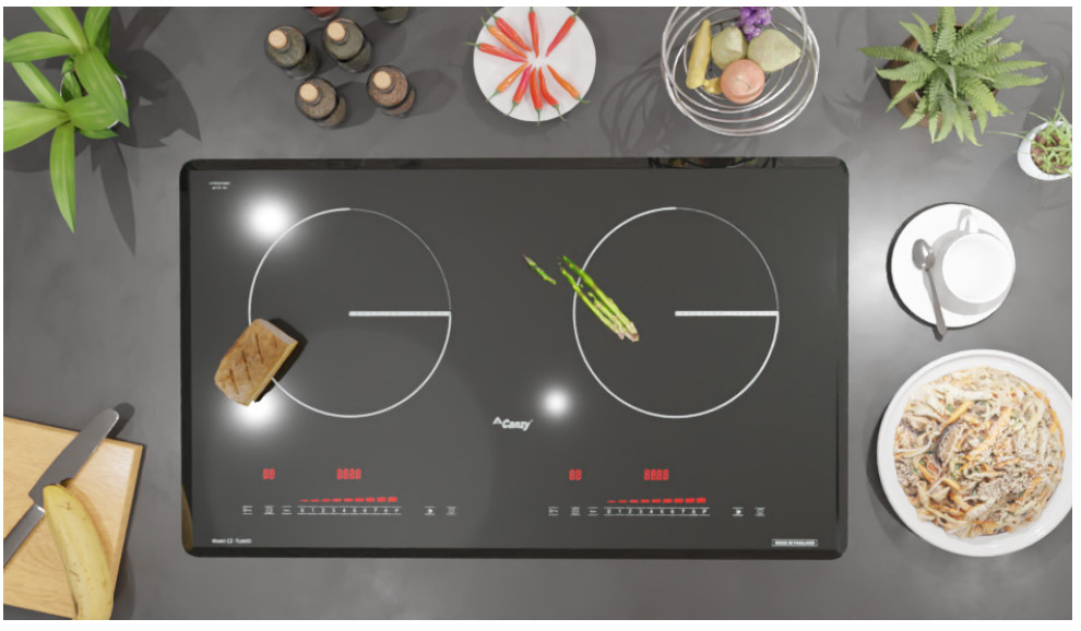 Bếp Từ Canzy CZ-TL869D