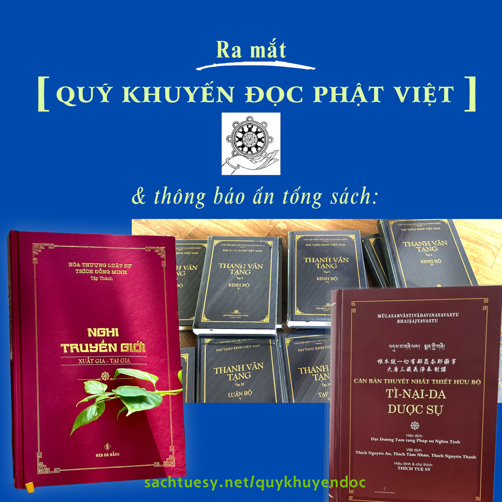Đại Tạng Kinh Việt Nam (Giai đoạn 1 - Phần 1)
