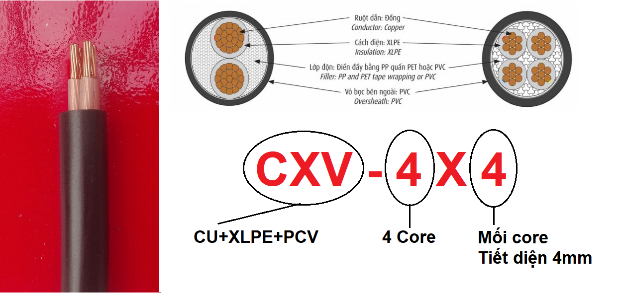 Dây cáp điện CXV