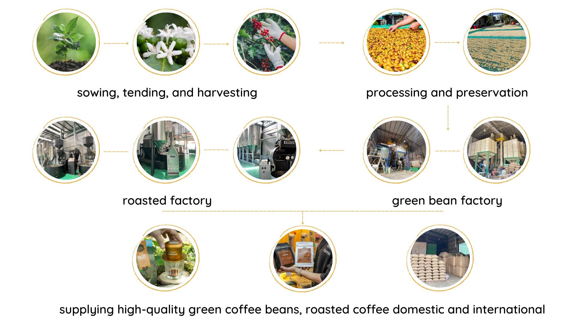 Coffee Production Process