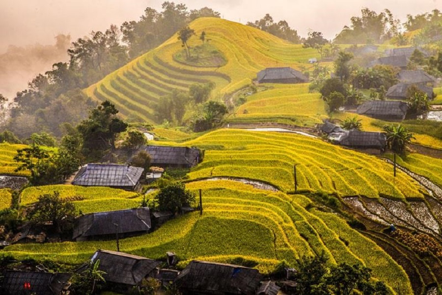 RUỘNG BẬC THANG HOÀNG SU PHÌ ĐIỂM THAM QUAN ĐẸP TẠI HÀ GIANG