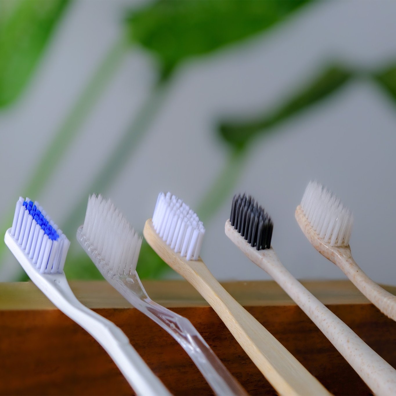 Mua bán bàn chải đánh răng khách sạn - Giá tốt, chiết khấu dự án