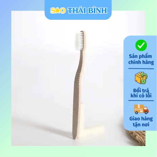 Địa chỉ cung cấp bàn chải đánh răng cho khách sạn chất lượng 2026