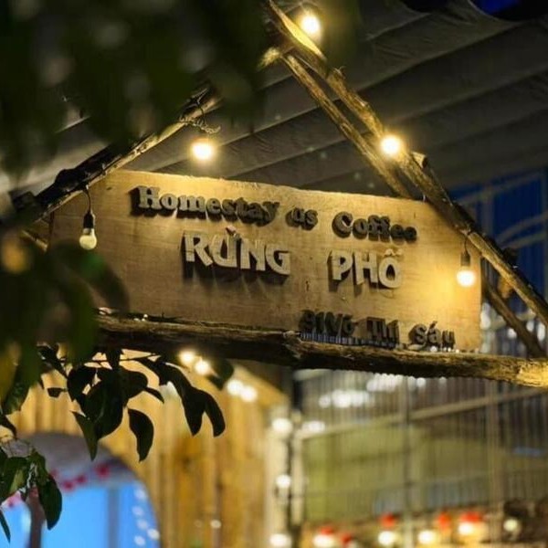 Gợi Ý Khách Sạn Giá Rẻ Ở Măng Đen Cho Chuyến Du Lịch Tiết Kiệm