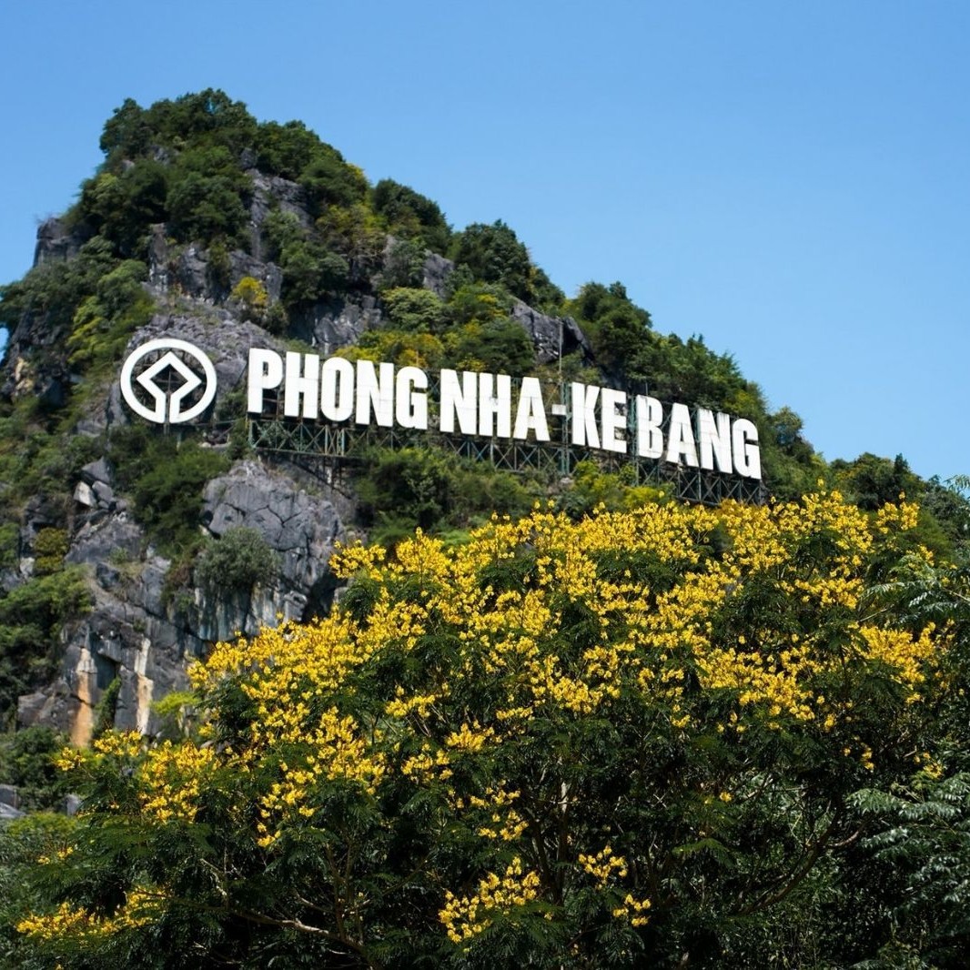 Tour Du Lịch Phong Nha - Kẻ Bàng Có Gì Hấp Dẫn?