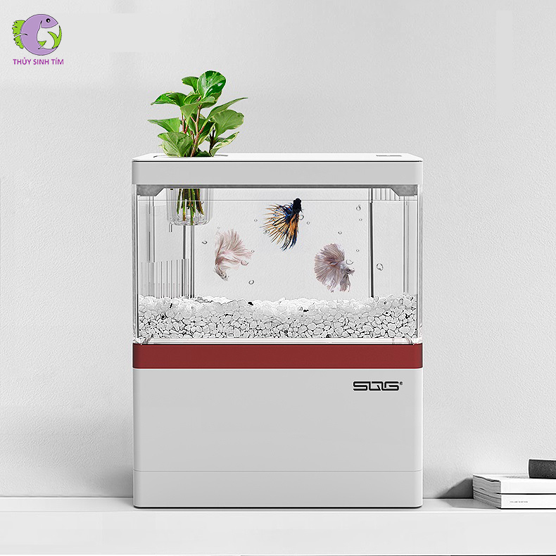 bể cá mini fish tank SQG - 1