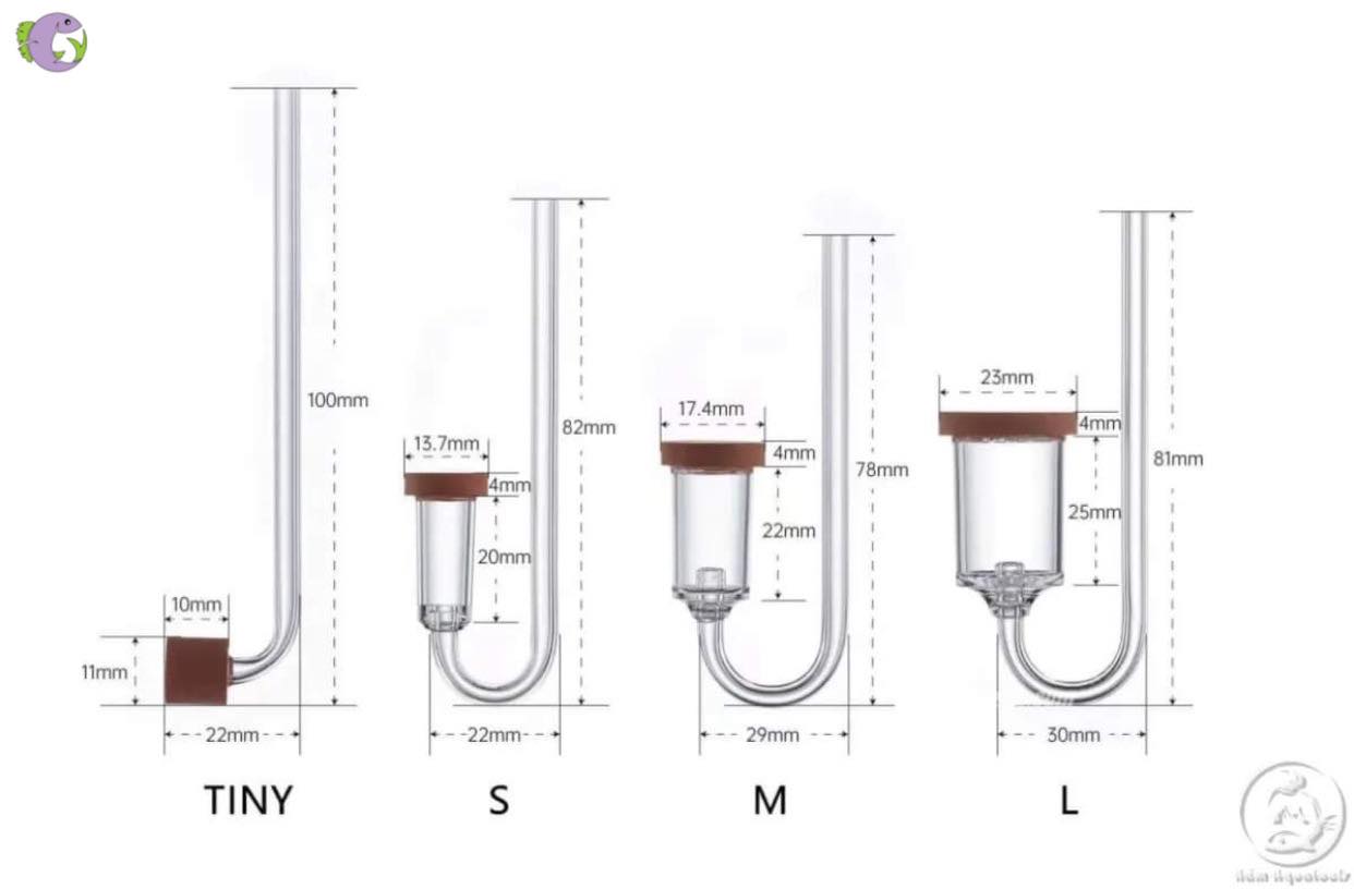 Cốc Sủi CO2 Chihiros Nano -1 
