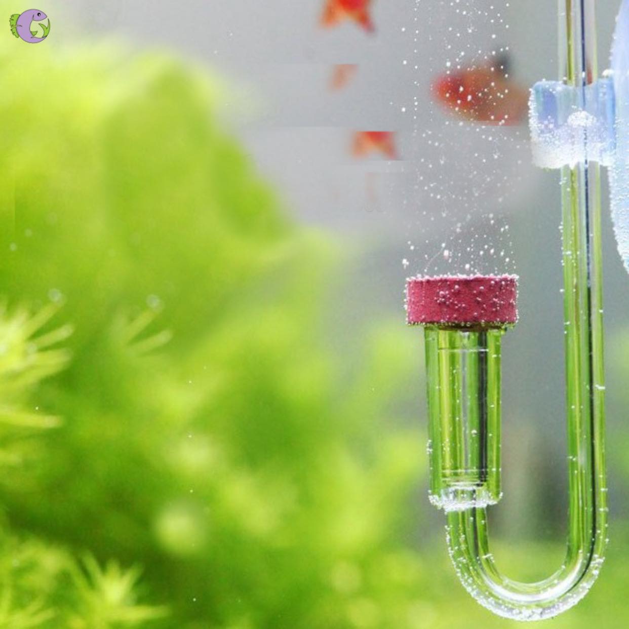 Cốc sủi CO2 Aquapro - 1