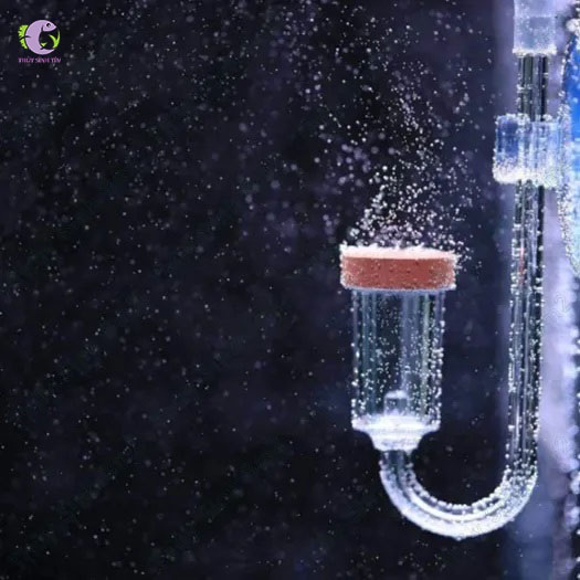 cốc sủi co2 ebi-2