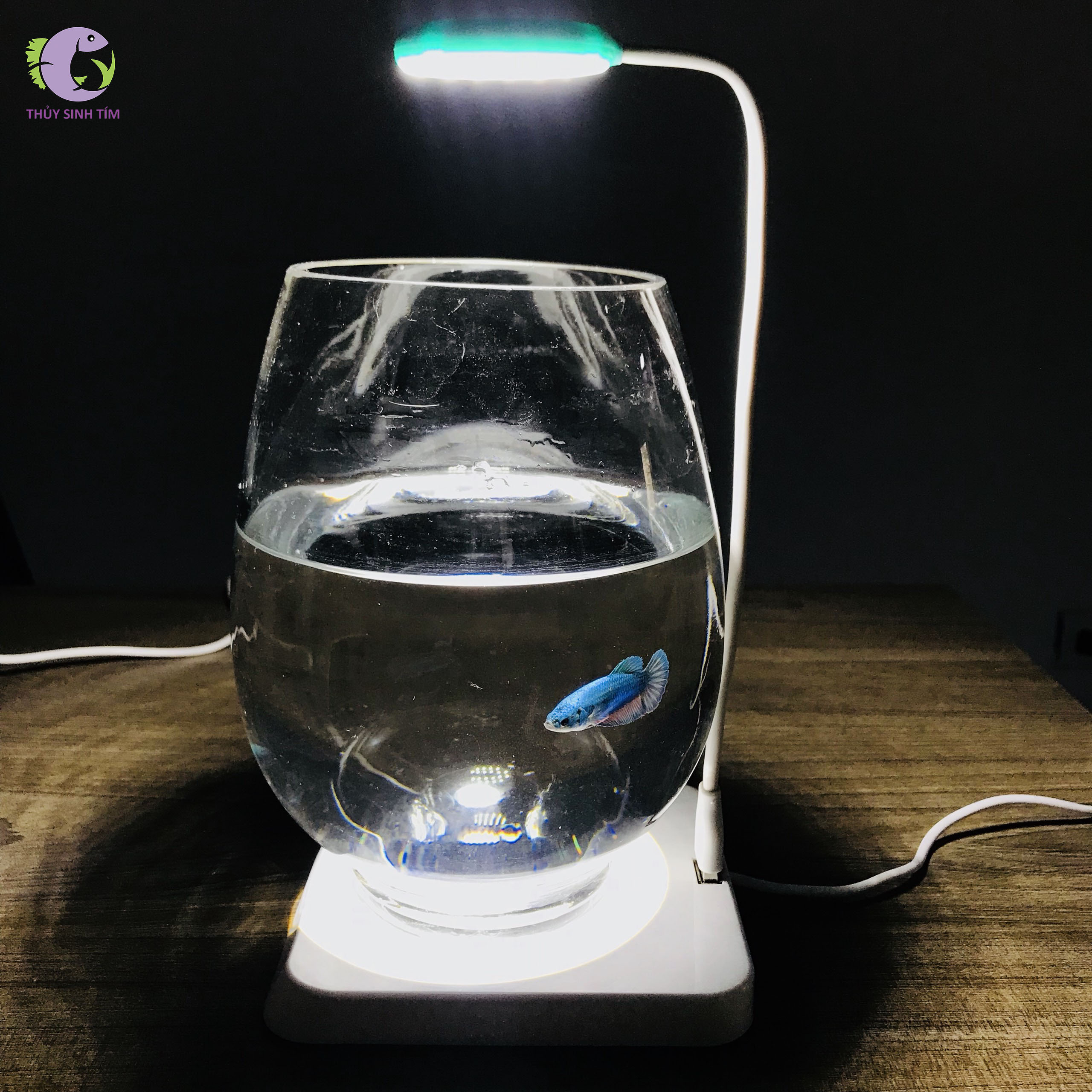 đèn led usb animsprite - 2