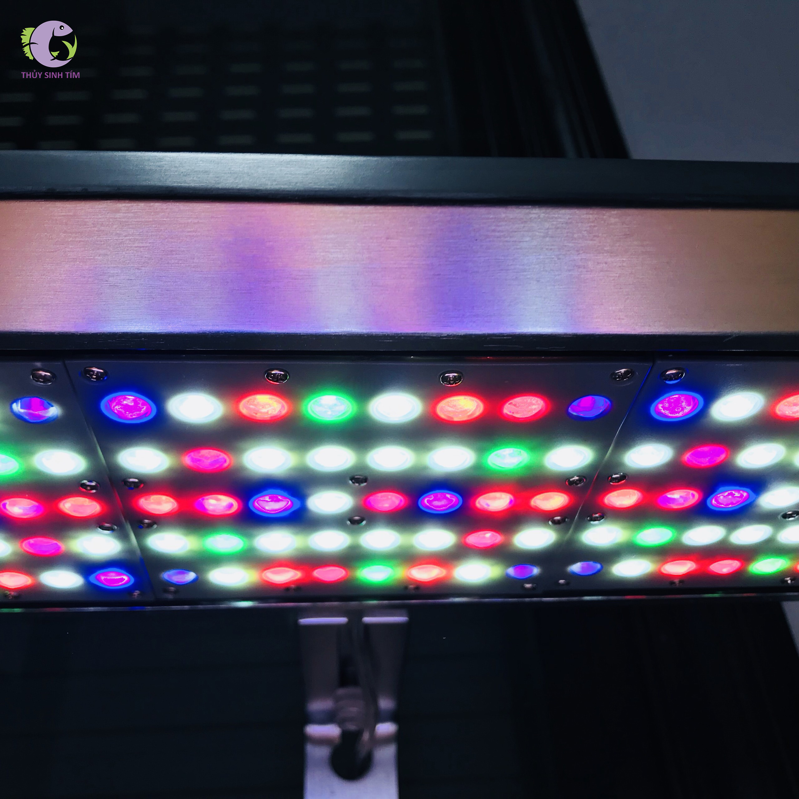 đèn led wrgb week tank gt 2019 - 2