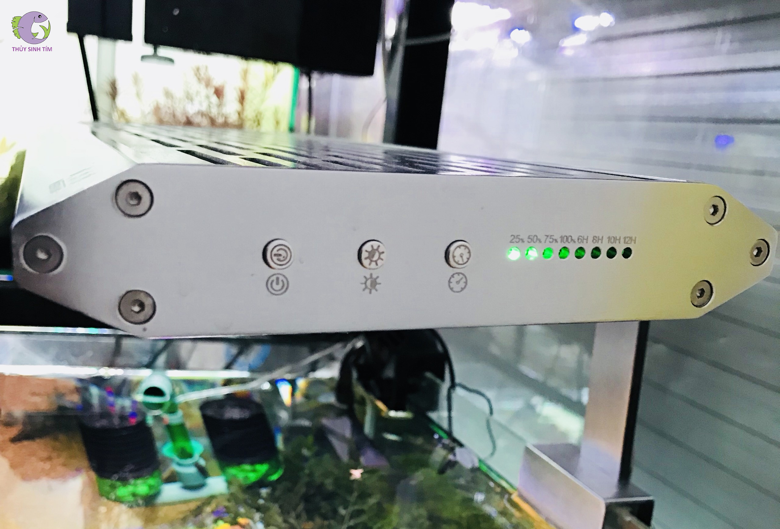 đèn led wrgb week tank gt 2019 - 6