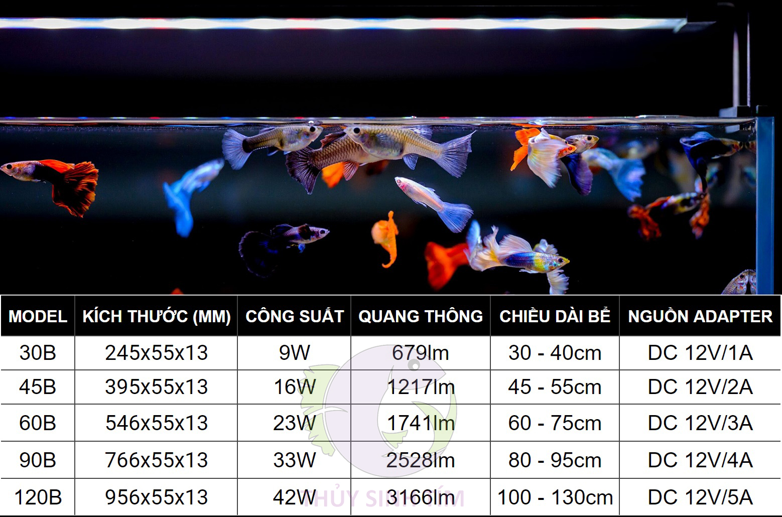 Đèn Thuỷ Sinh Twinstar B-Line 3