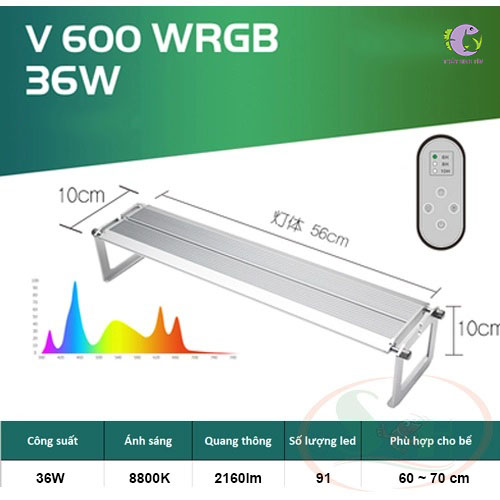 Đèn Week Raptor WRGB V600-1