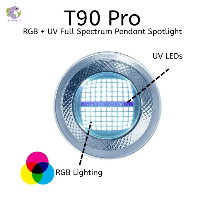 Đèn Week T90 Pro-4