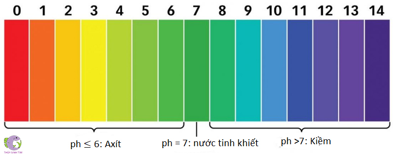 độ ph trong hồ thủy sinh - 1