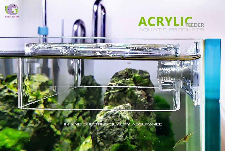 khay giữ thức ăn nổi cho cá Acrylic Feeder - 2