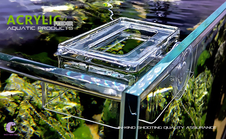 khay giữ thức ăn nổi cho cá Acrylic Feeder - 4