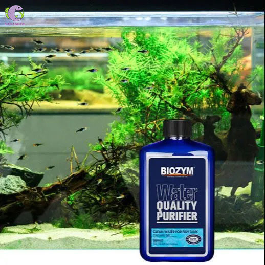 Làm Trong Nước Biozym Water Quality Purifier-2