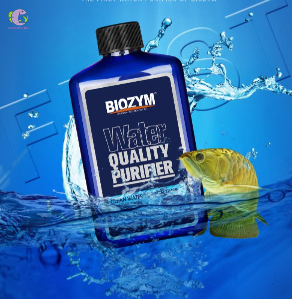 Làm Trong Nước Biozym Water Quality Purifier-1