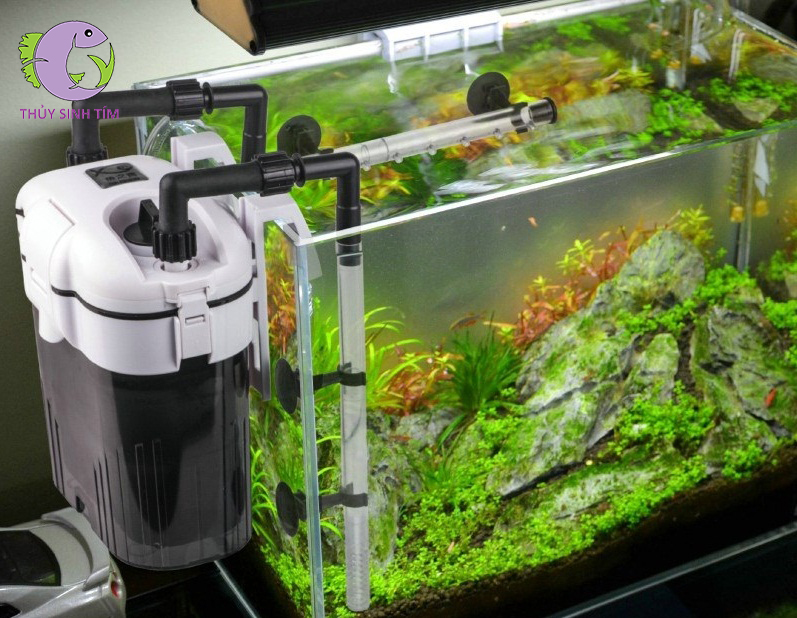 lọc đa năng CS 1