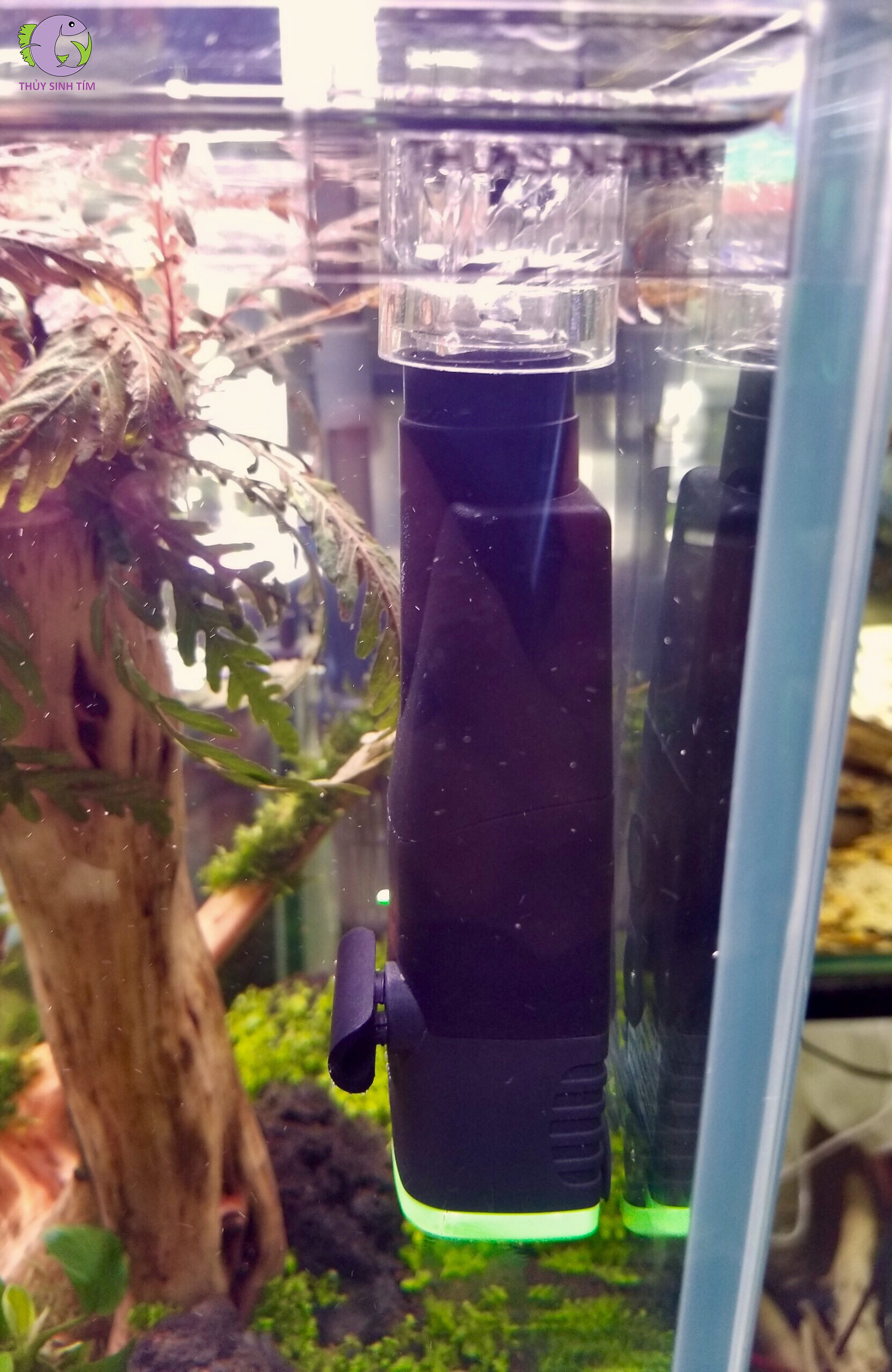 máy lọc váng đầu hút xoáy Aquarium - 1