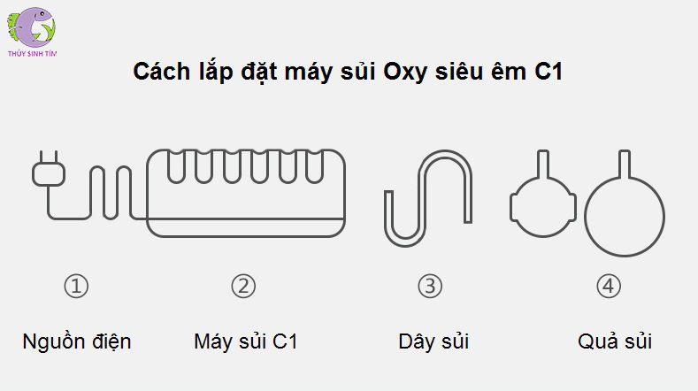 máy sủi oxy siêu êm c1 - 3
